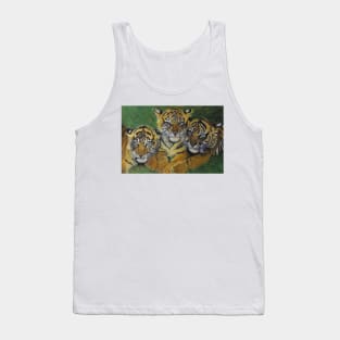 3 tigers in the grass......... Tank Top